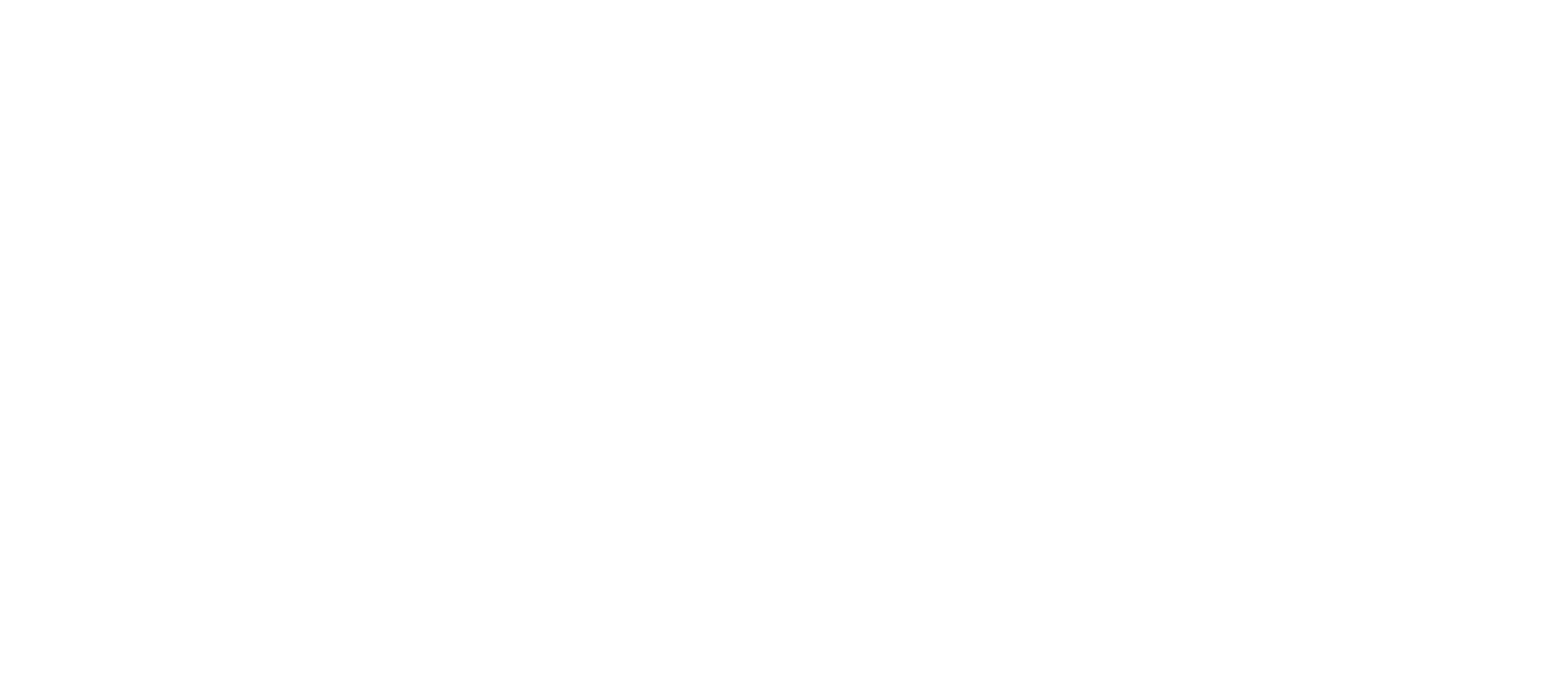 KS Solution Multimedia Production 